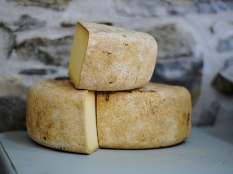 Specialità enogastronomiche: i formaggi della Val d'Ossola