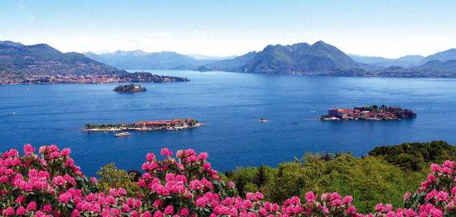 LAGO M
