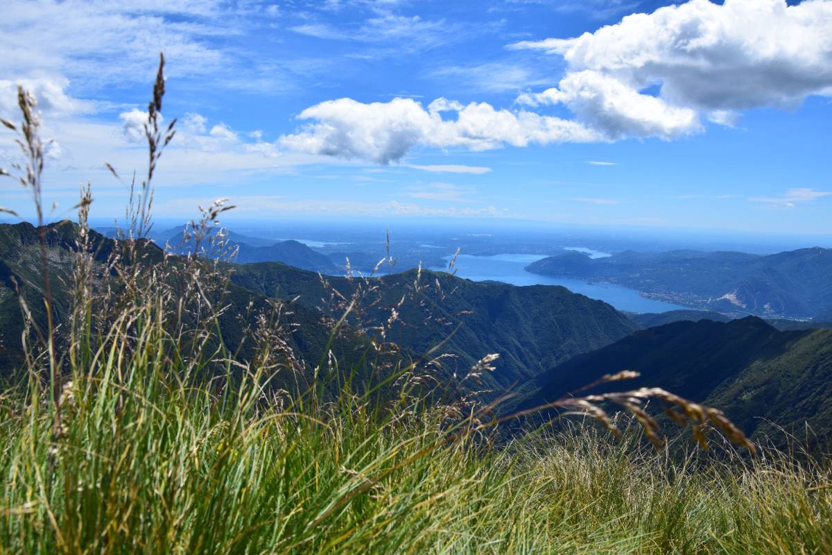 Der Pernice-Gipfel 1506m. - - Minimum 4 Personen
- Eignung: ganzjährig
- Dauer: Eintägiger Ausflug
- Schwierigkeitsgrad: LEICHT
- Höhenunterschied im Aufstieg ca.: 450m
- Maximal erreichte Höhe: 1506m
- Gesamtlänge ca