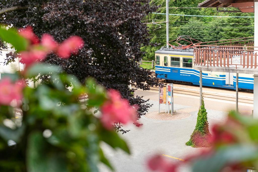 NEW FLAVOURS, ANCIENT MOUNTAINS (3 DAYS) - From April 10 to April 12, 2026, and from October 23 to October 25, 2026
3 days and 2 nights in a cozy mountain hotel to immerse yourself in the nature and culture of the Vigezzo Valley, discovering the diverse environments of the Val Grande National Park and the different towns of the valley, with nature observations and cultural discoveries.
Price per person: Euro 480.00 (minimum 4, maximum 8 participants; groups of up to 15 people can take part)