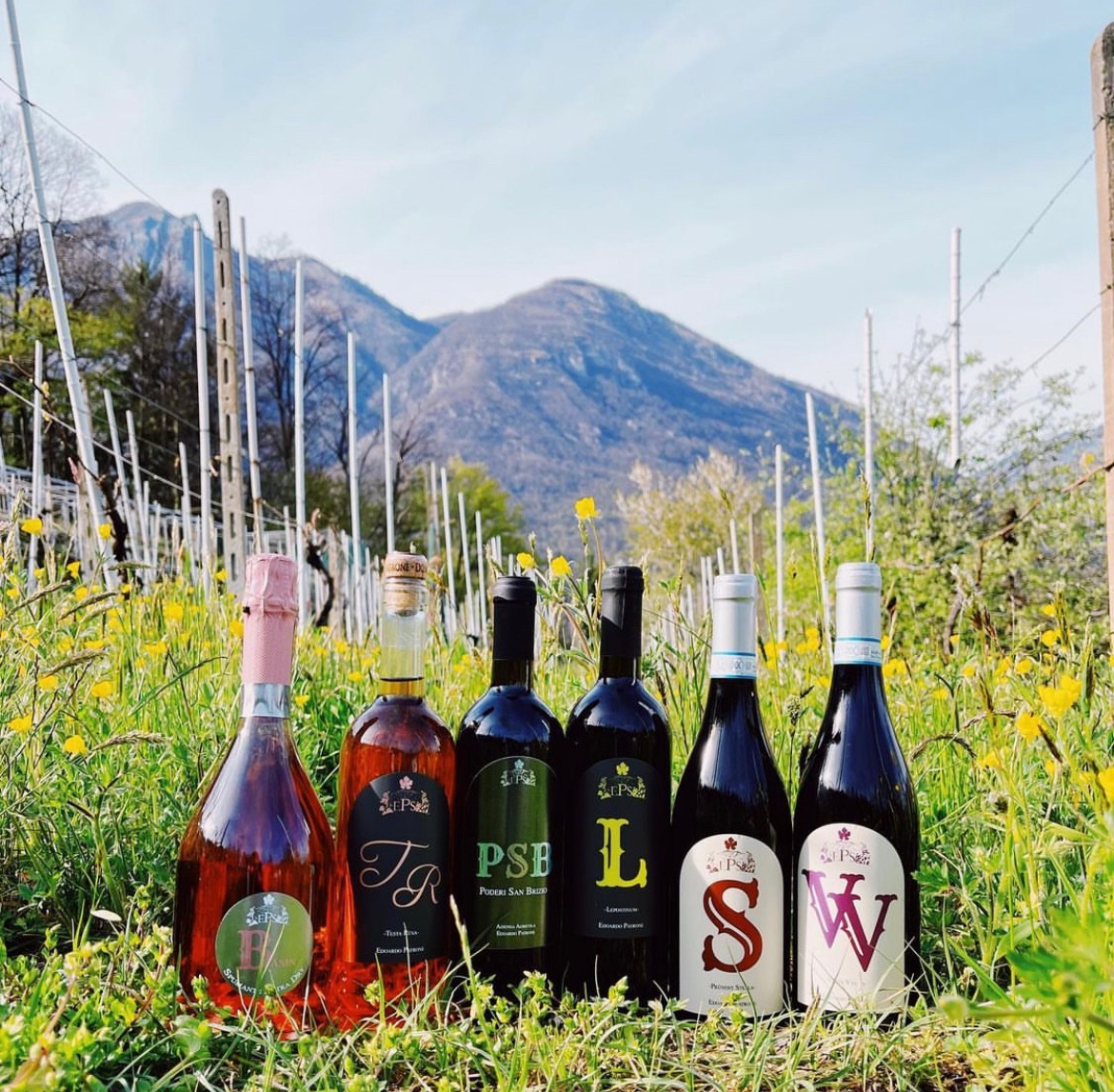 Azienda Vitivinicola Edoardo Patrone  - Located in the heart of the Lepontine Alps, the Edoardo Patrone farm is a winery run by Edward and Stella.
Together with a team of young and enthusiastic young people they share a love for viticulture and oenology. We select the best grapes from the vineyards we cultivate on the slopes of the Ossola mountains.
In addition to the vineyards, around the winery we have different varieties of fruit trees and the vegetable garden. Our goal is to become environmentally friendly and environmentally sustainable